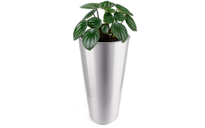 Pradeep Stainless Steel Classic Conica Planter, 1-Piece, Silver