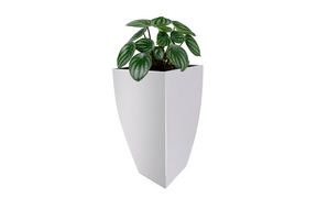 Pradeep Stainless Steel Cubica Planter, 1-Piece, Silver